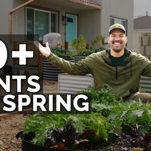 50+ Plants I'm Growing In My Spring Garden 🌱 🌷 🥕