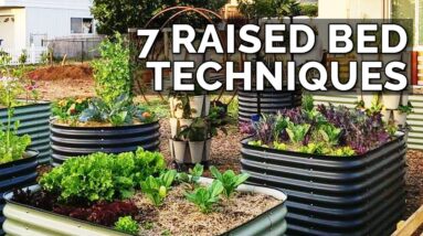 7 Raised Bed Gardening Techniques to Maximize Your Results