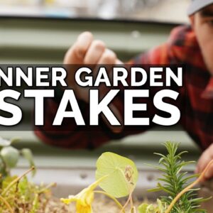 9 Beginner Gardening Mistakes to Avoid 😱 ❌