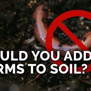 Adding Worms To Bad Soil Won't Fix It...Here's Why