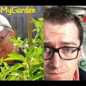 Beyond The Wild Garden with David Corscadden