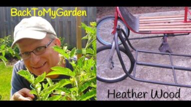 BTMG 097 – Raising Awareness for Community Gardens with Heather Wood