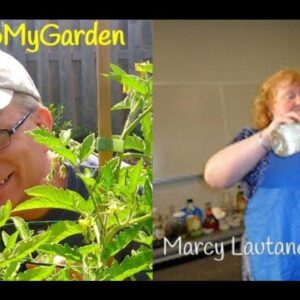BTMG 099: The World of Herbs with Marcy Lautanen-Raleigh