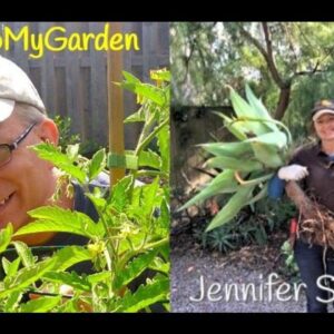 BTMG 100: Gardening for Mind, Body & Creativity with Jennifer Simmons