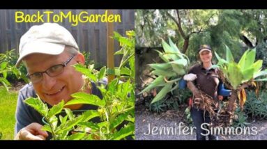 BTMG 100: Gardening for Mind, Body & Creativity with Jennifer Simmons