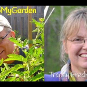 From the Big City to a Simple Homestead with Tracy Fredrychowski