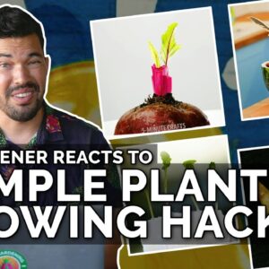 Gardener Reacts to "Simple Plant Growing Hacks"