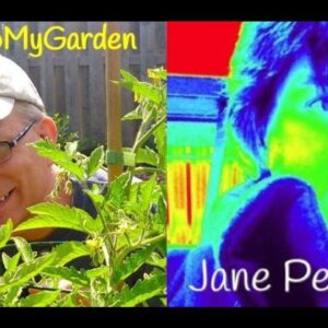 Gardening in the UK with Jane Perrone