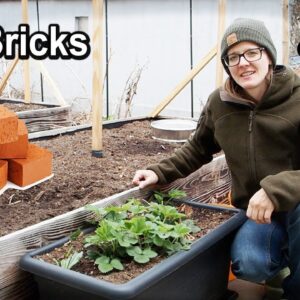 How to get FREE Bricks for your Veggie Garden!