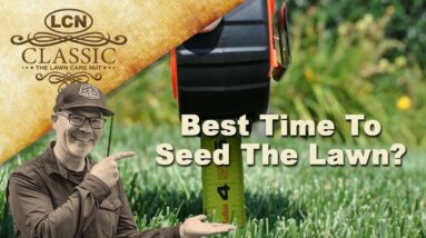 When's The Best Time To Seed The Lawn? Planting Grass Seed with Allyn Hane The Lawn Carew Nut