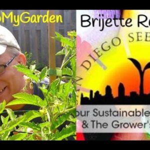 Organic Heirloom Seeds from California with Brijette Romstedt