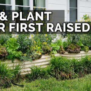 How to Fill, Fertilize, Plant, AND Mulch a Raised Bed from START to FINISH