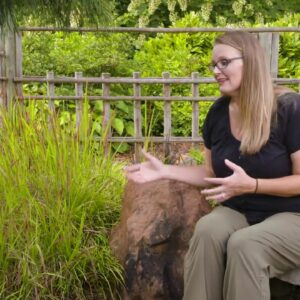 Ornamental Turf and Grasses PT. 2 on the Best of Oklahoma Gardening (#4735)