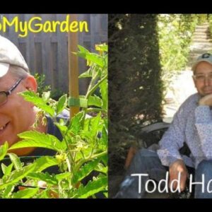 The 4th Dimension of Artistic Garden Design with Todd Haiman