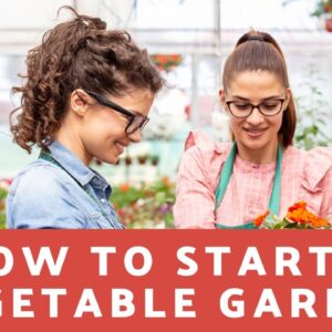 How To Start A Vegetable Garden At Home - 9 Tips To Help You Garden Better!