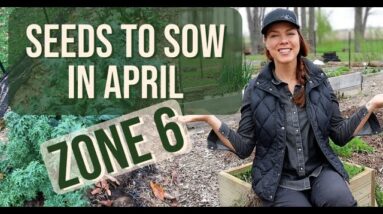 What to Sow from Seed in April - Zone 6