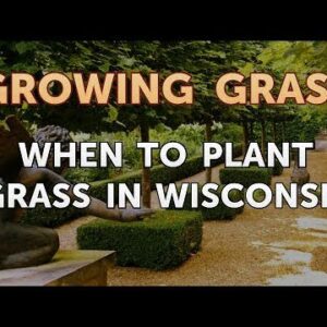 When to Plant Grass in Wisconsin