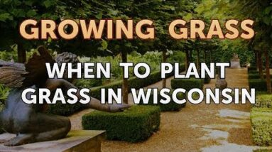 When to Plant Grass in Wisconsin