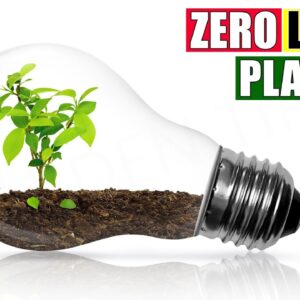 ZERO LIGHT INDOOR PLANTS THAT SURVIVE IN DARK | LOW LIGHT SHADE HOUSE PLANTS