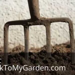 19 Things I Love About Gardening