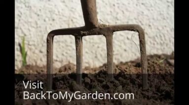 19 Things I Love About Gardening