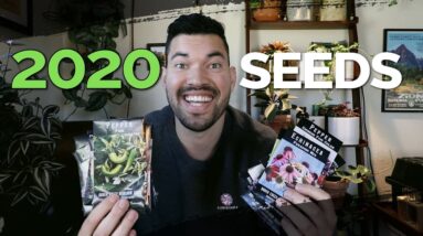 24 Rare Seeds I'm Growing in 2020!