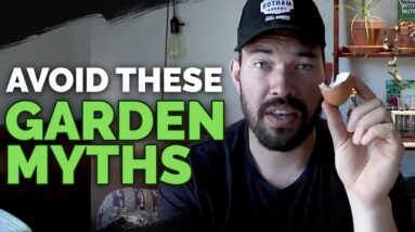 4 Garden Myths To Avoid Right Now