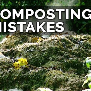 5 Hot Composting Mistakes to Avoid