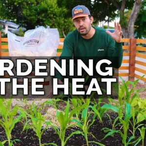 5 Ways to SAVE Your Garden During a Heat Wave!