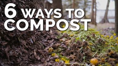 6 Different Ways To Compost, No Matter Where You Live