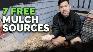 7 Cheap (Or Free) Mulch Sources and How To Use Them In Your Garden