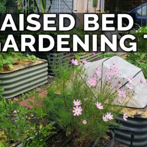 8 Of My BEST Raised Bed Gardening Tips