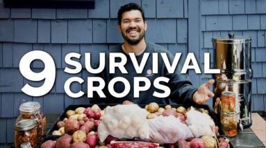 9 Survival Gardening Crops to Grow in a Post Apocalyptic World