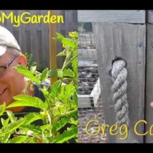 BTMG 076: The New Jersey Backyard Farmer with Greg Carbone  Read more: http://backtomygarden.com/pod