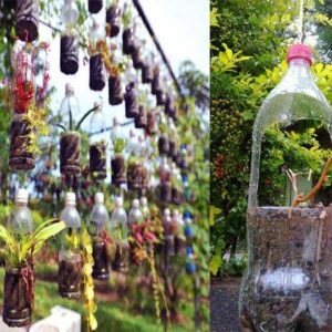 Amazing Hanging Garden With Plastic Bottles | DIY Garden with Bottles