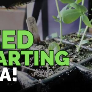 Answering 18 of Your Seed Starting Questions!
