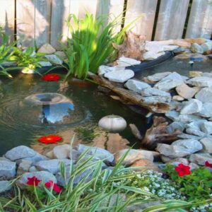 Awesome Backyard and Garden Pond Designs | Garden Pond Ideas