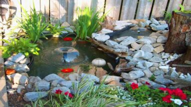 Awesome Backyard and Garden Pond Designs | Garden Pond Ideas