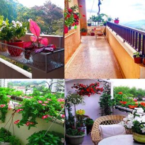 Best Balcony Garden Ideas and Designs for 2021 | Balcony Garden Ideas
