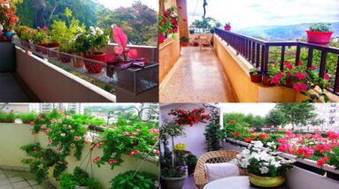 Best Balcony Garden Ideas and Designs for 2021 | Balcony Garden Ideas