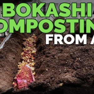 Bokashi Composting from Start to Finish (DIY Bokashi Bucket)