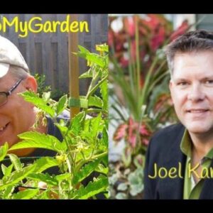 BTMG 003: The Science of Straw Bale Gardening with Joel Karsten