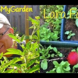 BTMG 050- The Suburban Vegetable Gardener with Lara Fabans