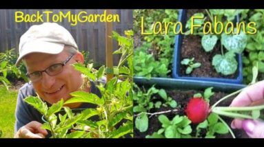 BTMG 050- The Suburban Vegetable Gardener with Lara Fabans