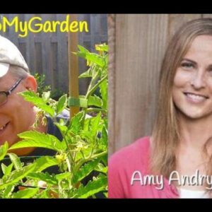 BTMG 053 Fall & Winter Gardening Tips with Amy Andrychowicz