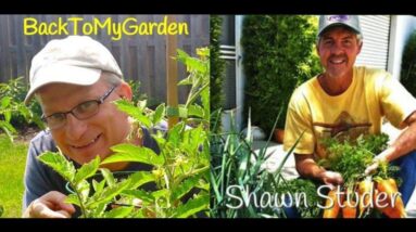 BTMG 055: Growing Organic Gardens with Shawn Studer