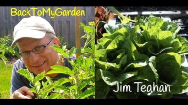 BTMG 056: Discover The Wealthy Earth with Jim Teahan