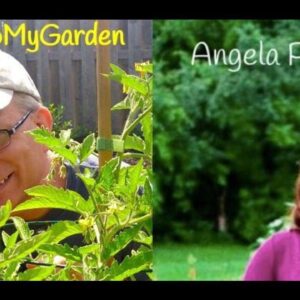 BTMG 060: Brand New Plants with Angela Palmer