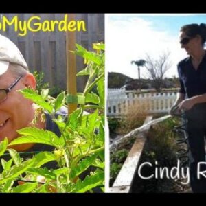BTMG 062: The Secrets To Home Grown Fun with Cindy Rajhel