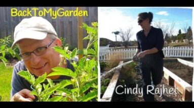 BTMG 062: The Secrets To Home Grown Fun with Cindy Rajhel